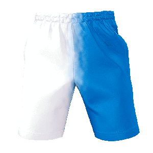 Training Shorts